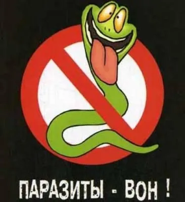 Як глистогінний собаку (необхідно) Як глистогінний собаку