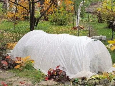 Які плівки використовуються для теплиць