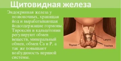 Які гормони регулюють рівень глюкози в крові (глюкози) Які гормони регулюють рівень глюкози в крові