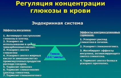 Які гормони регулюють рівень глюкози в крові (крові) Які гормони регулюють рівень глюкози в крові