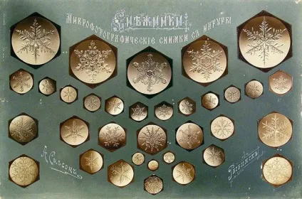 Якими бувають сніжинки 7 - різних видів - 31 грудня 2015 року, події, новини погоди (сніжинки) Якими бувають сніжинки 7 - різних видів - 31 грудня 2015 року, події, новини погоди