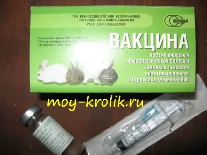 Які щеплення роблять кроликам (які) Які щеплення роблять кроликам