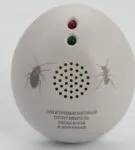 Як позбутися мурах у квартирі (домашніх рудих і інших) рецепти з борною кислотою і іншими (рецепти) Як позбутися мурах у квартирі (домашніх рудих і інших) рецепти з борною кислотою і іншими