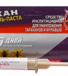 Як позбутися мурах у квартирі (домашніх рудих і інших) рецепти з борною кислотою і іншими (позбутися) Як позбутися мурах у квартирі (домашніх рудих і інших) рецепти з борною кислотою і іншими