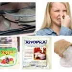 Як позбутися від запаху мишей в будинку, квартирі, дачі, машини (будинку) Як позбутися від запаху мишей в будинку, квартирі, дачі, машини