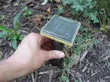 Як позбутися від полівок
