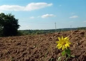 Яким чином в 2017 - 2018 році розраховується розмір орендної плати за землю (орендна плата за землю) Яким чином в 2017 - 2018 році розраховується розмір орендної плати за землю