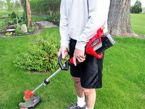 Як позбутися від польових мишей в будинку, саду або городі (будинку) Як позбутися від польових мишей в будинку, саду або городі