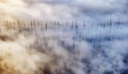 Як використовувати лінії в фотокомпозицію (лінії в композиції фотографії) Як використовувати лінії в фотокомпозицію