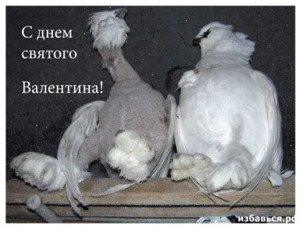 Як позбутися від дружини (дружини) Як позбутися від дружини