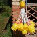 Як ми загартовується влітку (фотозвіт)