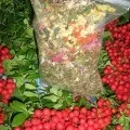 Як лікувати починається застуду (лікувати) Як лікувати починається застуду