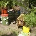 Як ми загартовується влітку (фотозвіт)