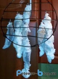 Як коптити карася будинку
