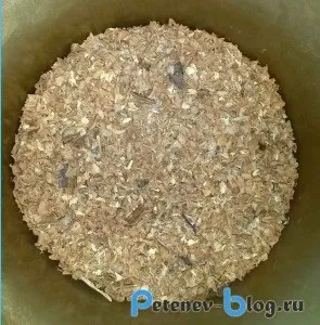 Як коптити карася будинку