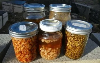 Як лікувати розацеа на обличчі причини, симптоми, апаратні методи, лікарські препарати, народні (як лікувати розацеа) Як лікувати розацеа на обличчі причини, симптоми, апаратні методи, лікарські препарати, народні