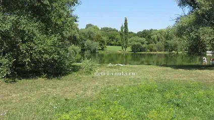 Як ми провели осінні канікули, діти і внуки (осінні) Як ми провели осінні канікули, діти і внуки