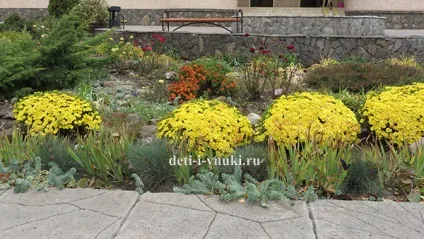 Як ми провели осінні канікули, діти і внуки (канікули) Як ми провели осінні канікули, діти і внуки