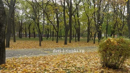 Як ми провели осінні канікули, діти і внуки (відпочинок з дітьми) Як ми провели осінні канікули, діти і внуки