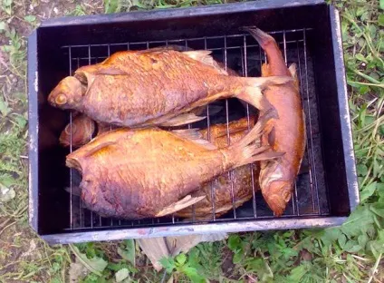 Як ловити рибу на оці (ловити) Як ловити рибу на оці