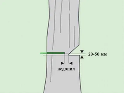 Як ми спиляли дерево