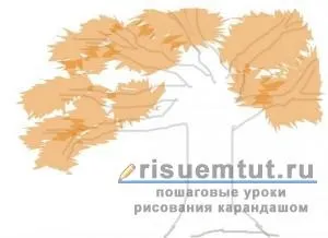 Як намалювати осінь олівцем поетапно - малюємо тут