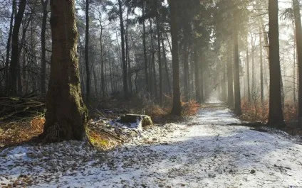 Як намалювати пізню осінь олівцем поетапно (малювання) Як намалювати пізню осінь олівцем поетапно