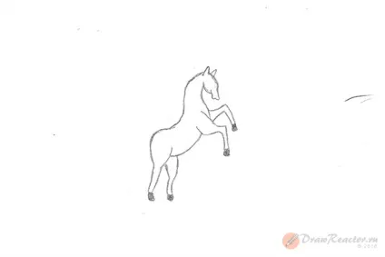 Як намалювати коня на дибах (намалювати коня дибах) Як намалювати коня на дибах