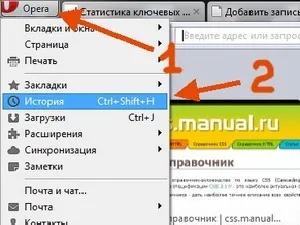 Як очистити історію в опері назавжди