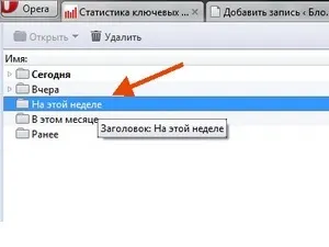 Як очистити історію в опері назавжди