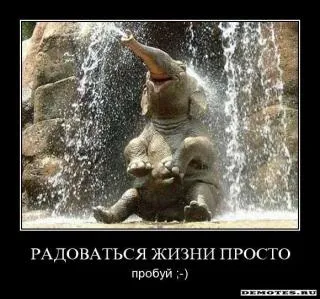 Як навчитися радіти дрібницям