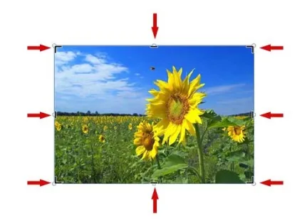 Як обрізати малюнок в powerpoint