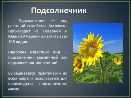 Як обрізати малюнок в powerpoint