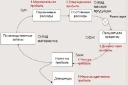Яке оподаткування краще вибрати для ип (краще) Яке оподаткування краще вибрати для ип
