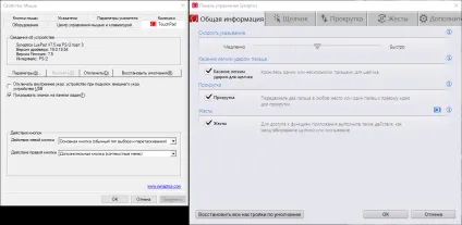 Як вимкнути певні рухи екрану і тачпада в windows 10 (windows) Як вимкнути певні рухи екрану і тачпада в windows 10