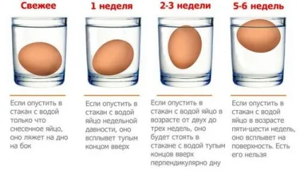 Як визначити свіжість яйця курячого та перепелиного (свіжість) Як визначити свіжість яйця курячого та перепелиного