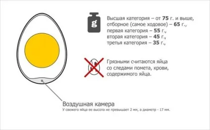 Як визначити свіжість яйця курячого та перепелиного (визначити) Як визначити свіжість яйця курячого та перепелиного