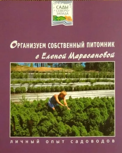 Як організувати власний розплідник (овочі) Як організувати власний розплідник