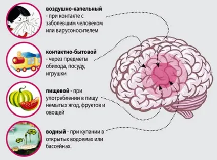 Як передається менінгіт від людини до людини, шляхи зараження (менінгіт) Як передається менінгіт від людини до людини, шляхи зараження