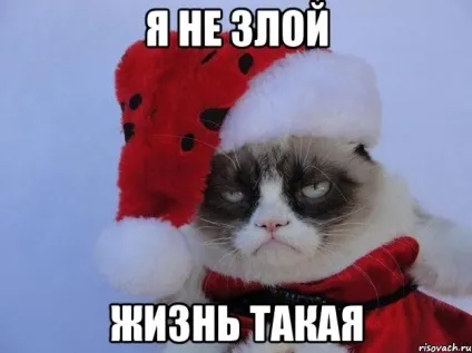 Як пишеться не злий разом чи окремо