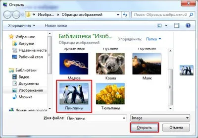 Як поміняти (змінити) шпалери в windows 7 starter (windows) Як поміняти (змінити) шпалери в windows 7 starter