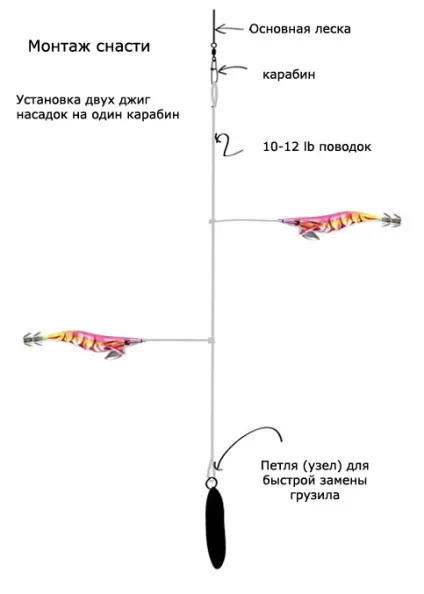 Як спіймати кальмара, а також що треба знати, готуючись до лову кальмара (знати) Як спіймати кальмара, а також що треба знати, готуючись до лову кальмара
