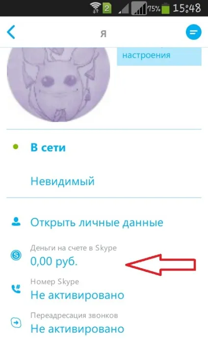 Як користуватися skype на телефоні, як встановити скайп на телефон