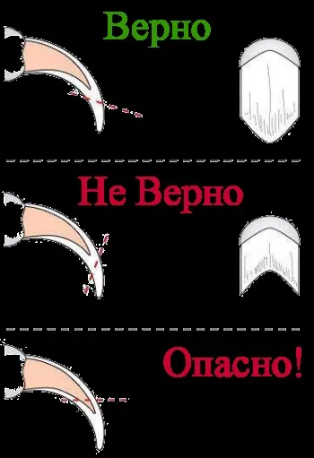 Як правильно обрізати кігті собаці (правильно) Як правильно обрізати кігті собаці