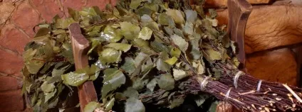 Як правильно сушити березові віники для лазні (сушити) Як правильно сушити березові віники для лазні