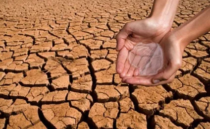 Як правильно і з користю для організму пити воду, під час занять спортом і щоб схуднути (підтримувати) Як правильно і з користю для організму пити воду, під час занять спортом і щоб схуднути