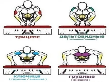 Як правильно віджиматися, сайт рад! (Види віджимань) Як правильно віджиматися, сайт рад!