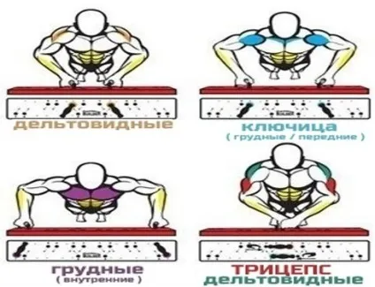 Як правильно віджиматися, сайт рад! (світовий рекорд) Як правильно віджиматися, сайт рад!