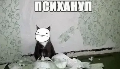 Кот дере шпалери як відучити кішку дряпати, рвати, обдирати (що робити - відео інструкція) (як відучити) Кот дере шпалери як відучити кішку дряпати, рвати, обдирати (що робити - відео інструкція)