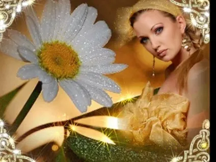 Красиві легенди про ромашках